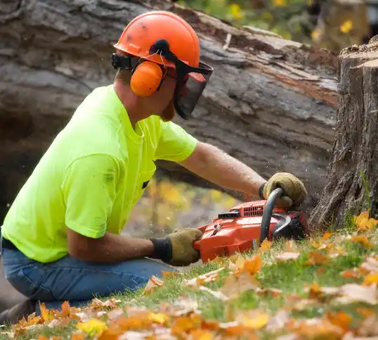 tree services Centreville